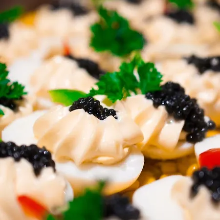 Hotel Hotel Nowy Dwor Elizy Blisko Sky Bridge