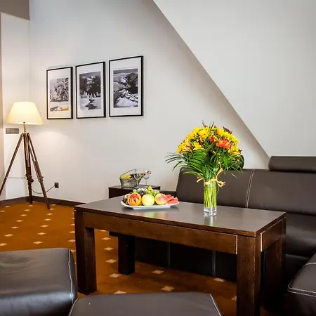 Hotel Hotel Nowy Dwor Elizy Blisko Sky Bridge 3*