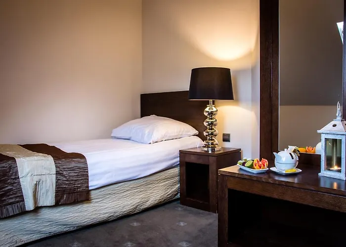 Hotel Hotel Nowy Dwor Elizy Blisko Sky Bridge 3*